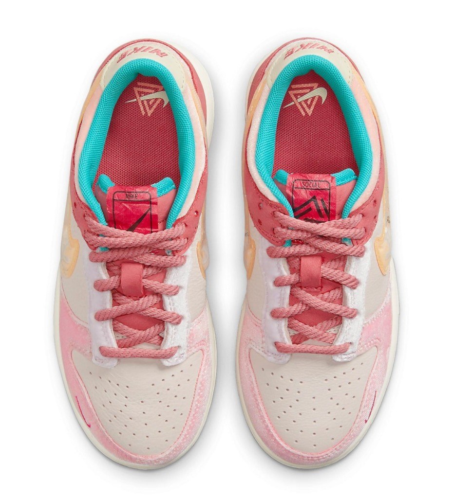 nike sb social status