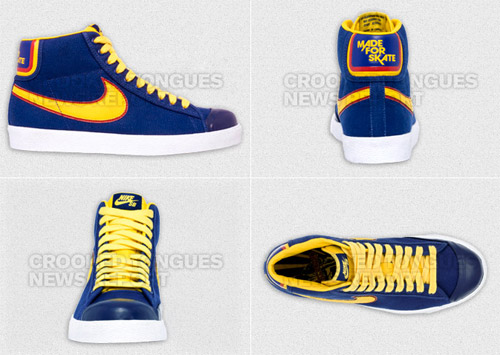 blazer sb elite made for skate